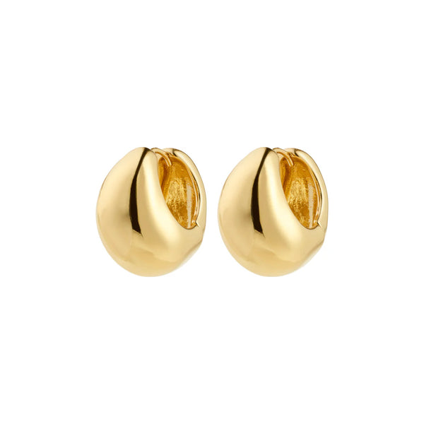 Free Chunky Hoop Earrings I Gold Plated