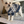Load image into Gallery viewer, Après-ski Dog Sweater
