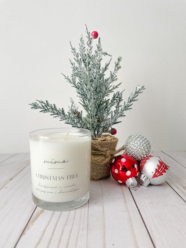 BALSAM FIR & BLUE SPRUCE